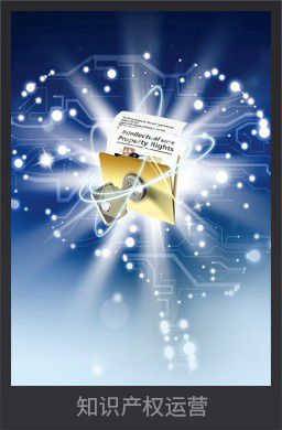 知識(shí)產(chǎn)權(quán)運(yùn)營(yíng)
